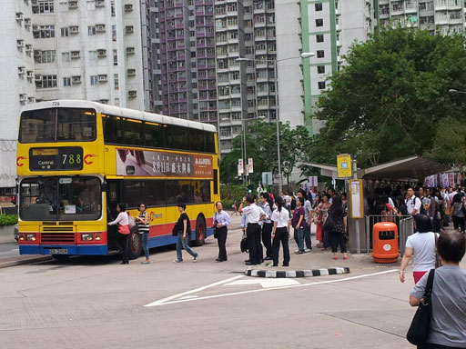 72904.jpg