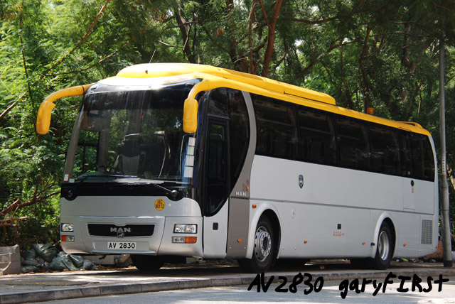 av2830.jpg