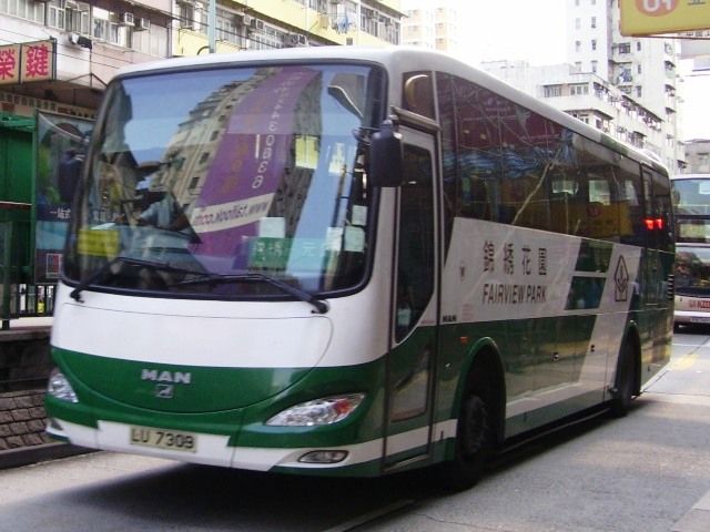01.jpg