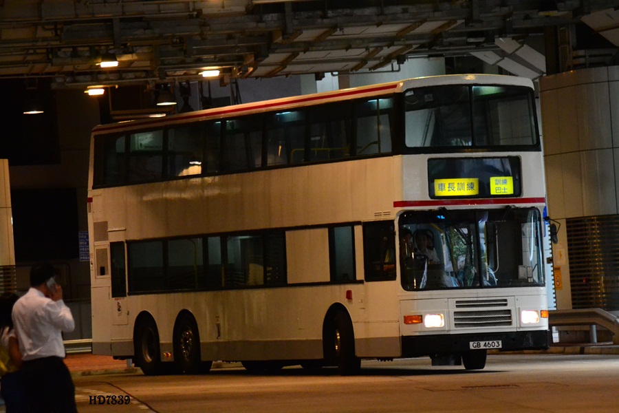DSC_0382.JPG