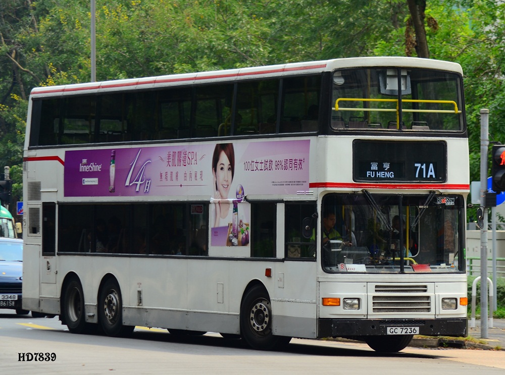 DSC_8575.JPG