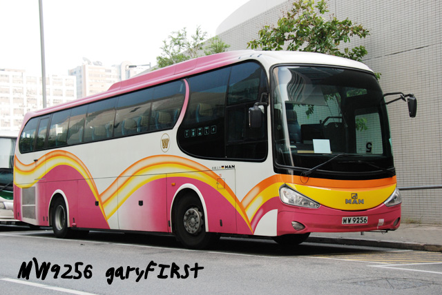 mw9256-2.jpg
