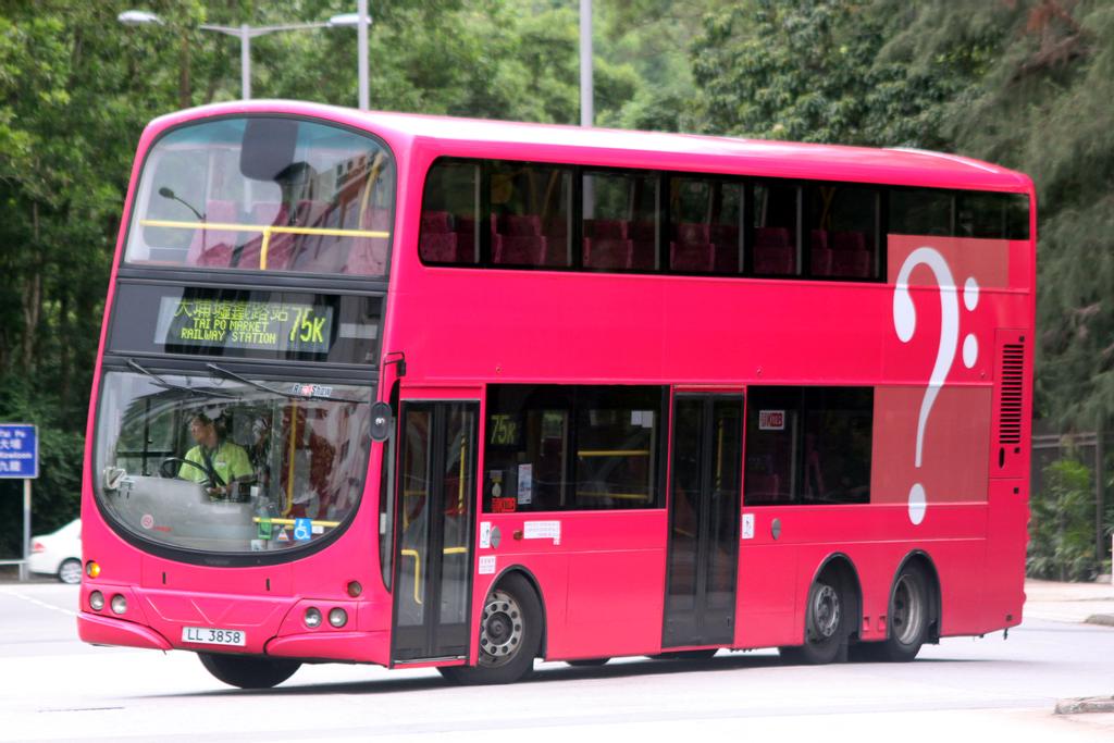 3858.jpg