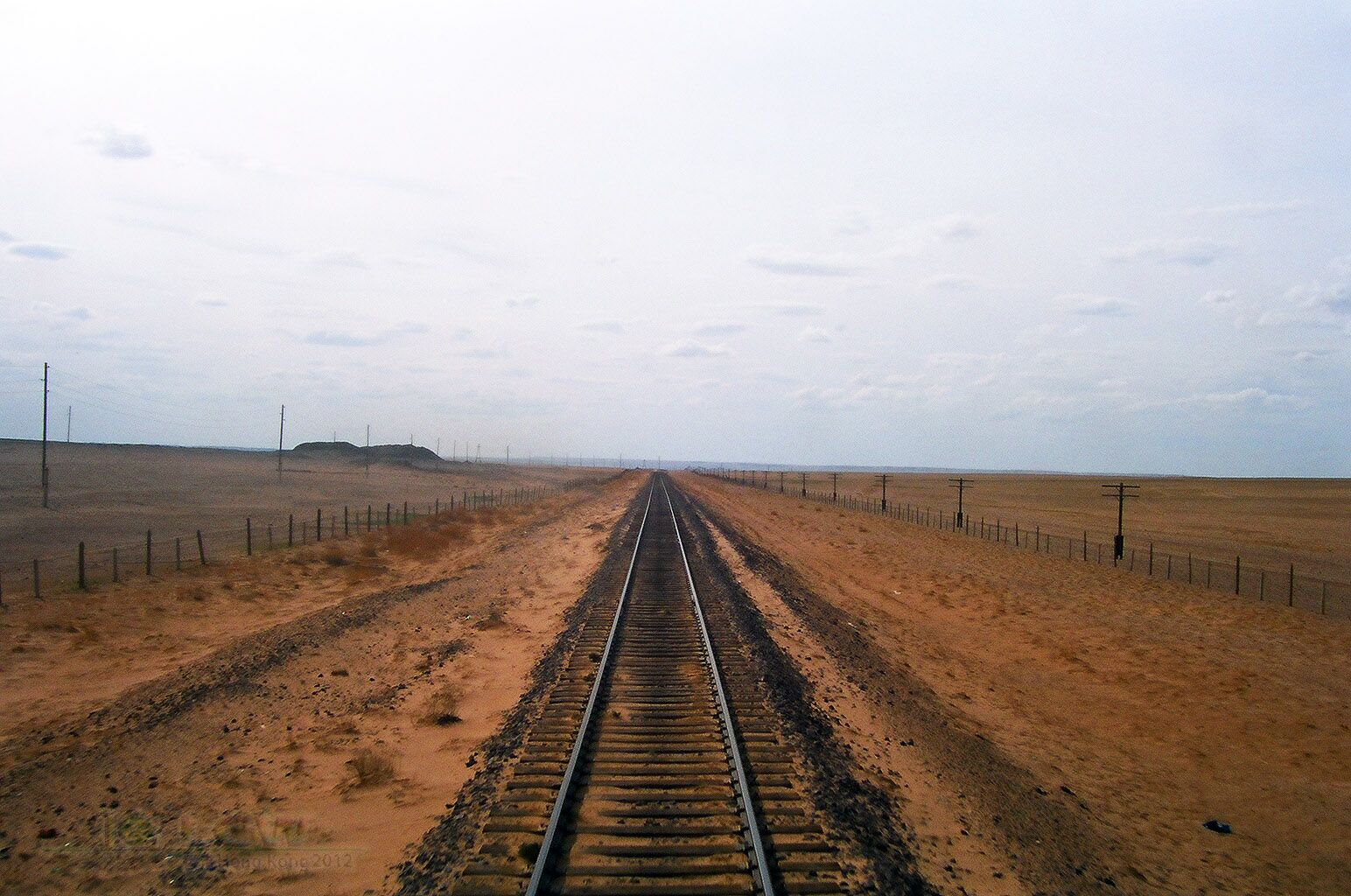 48720037.jpg