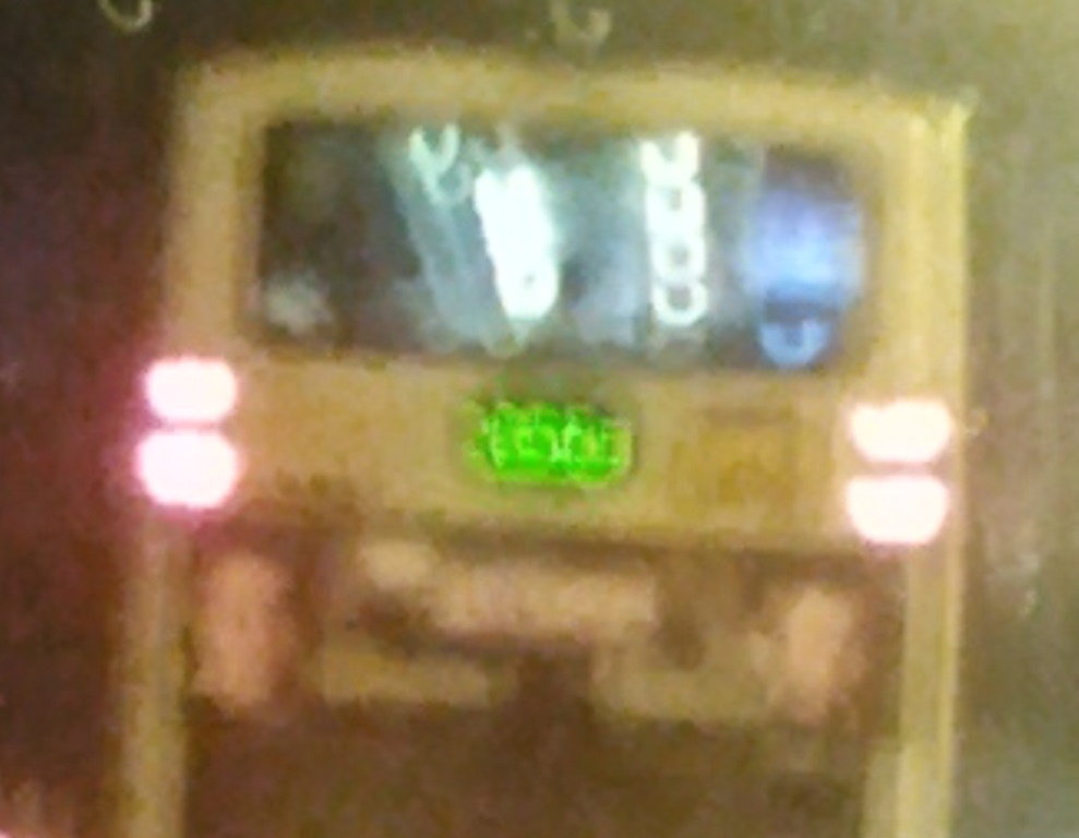 IMG_20121013_2330392.jpg