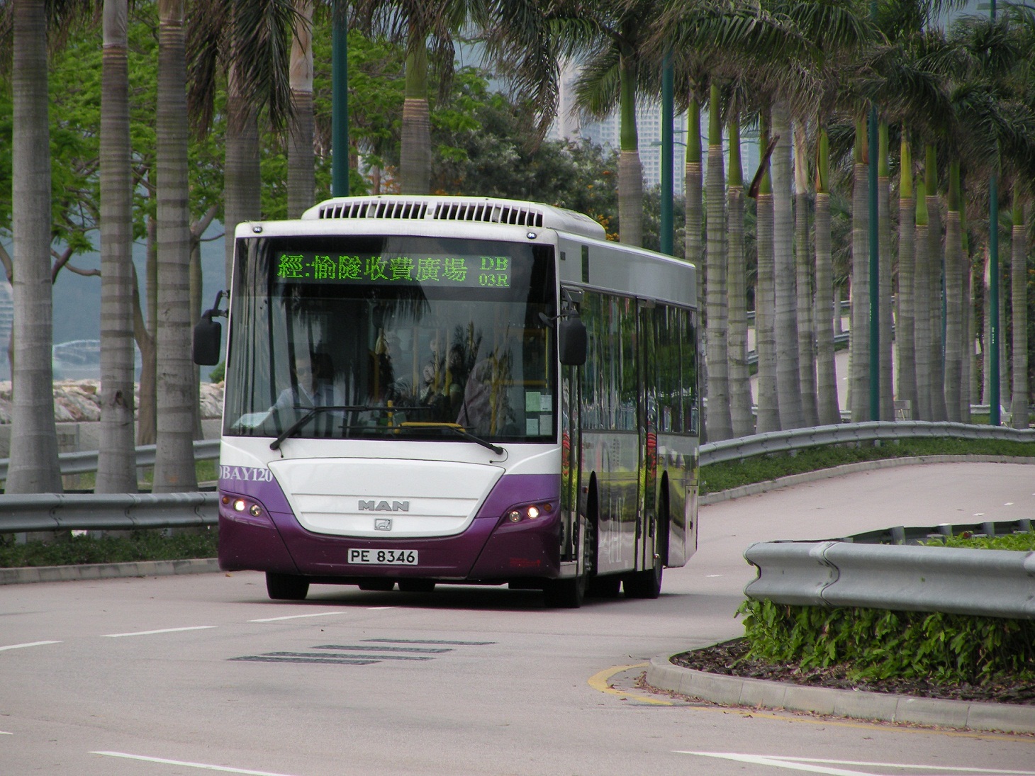 DSCN8125.JPG
