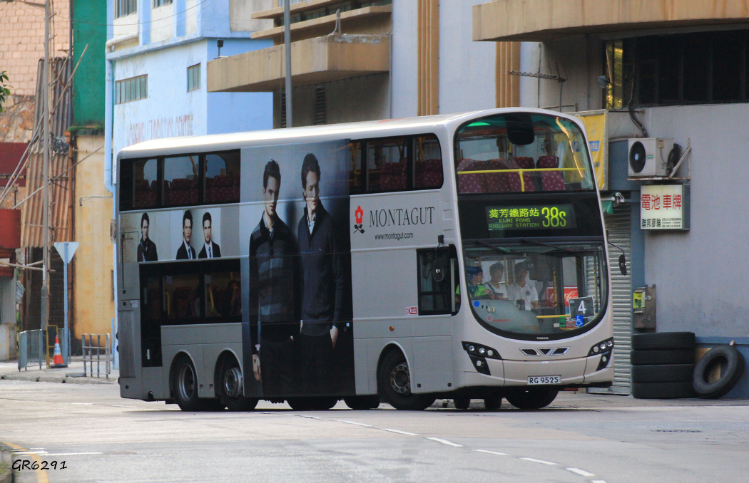 9525.jpg