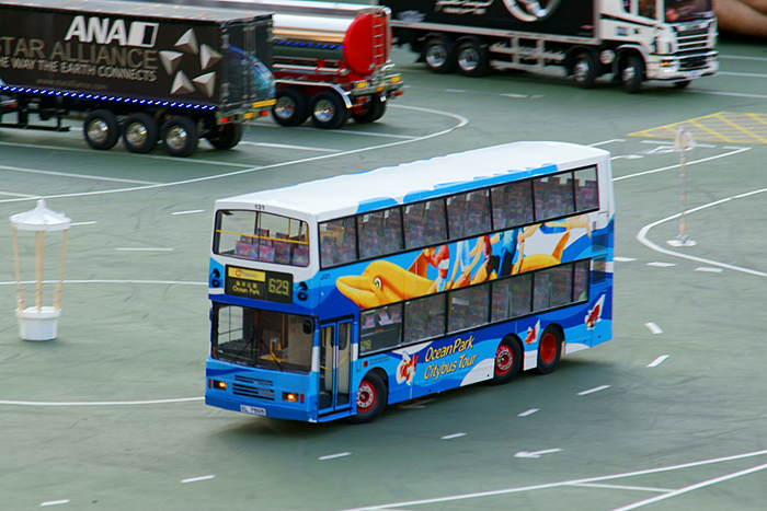 DSC08128.JPG