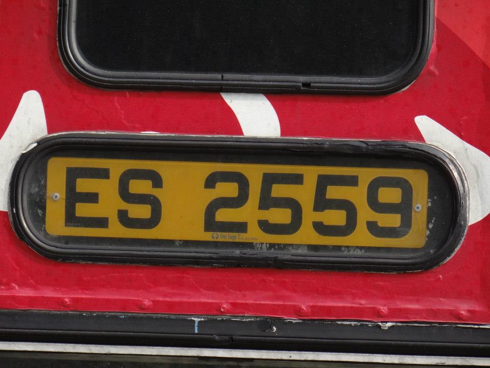 407684_438968086167123_600754543_n.jpg