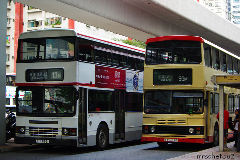 IMGP9281.jpg