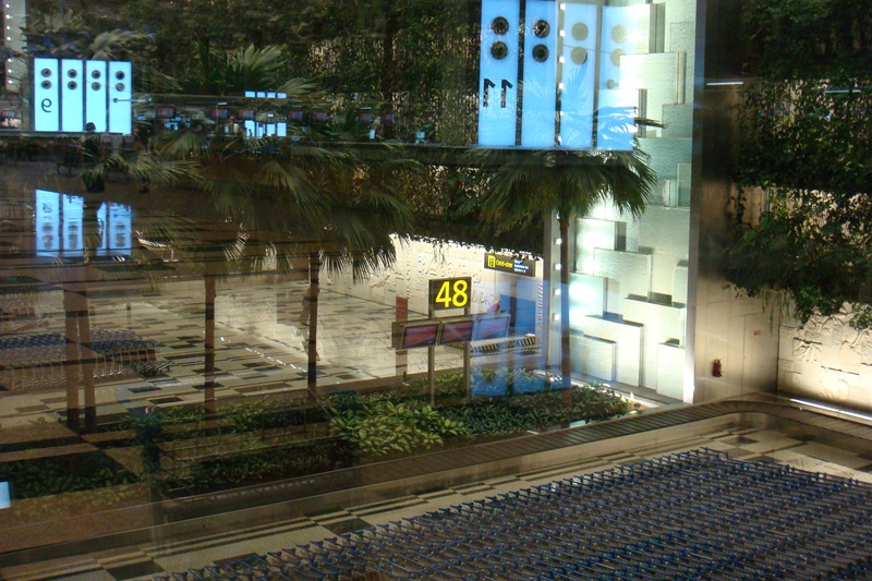 DSC06606.JPG