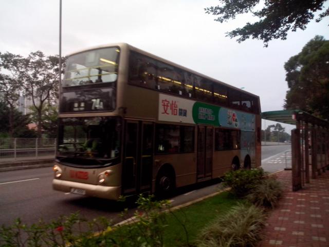 rps20121203_171435a.jpg