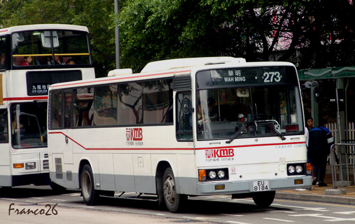 AM48_EU8184 @ 273.jpg