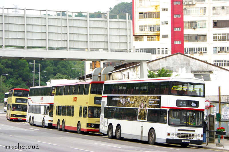 IMGP4595.jpg