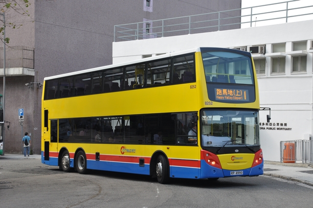 tn_8252.JPG