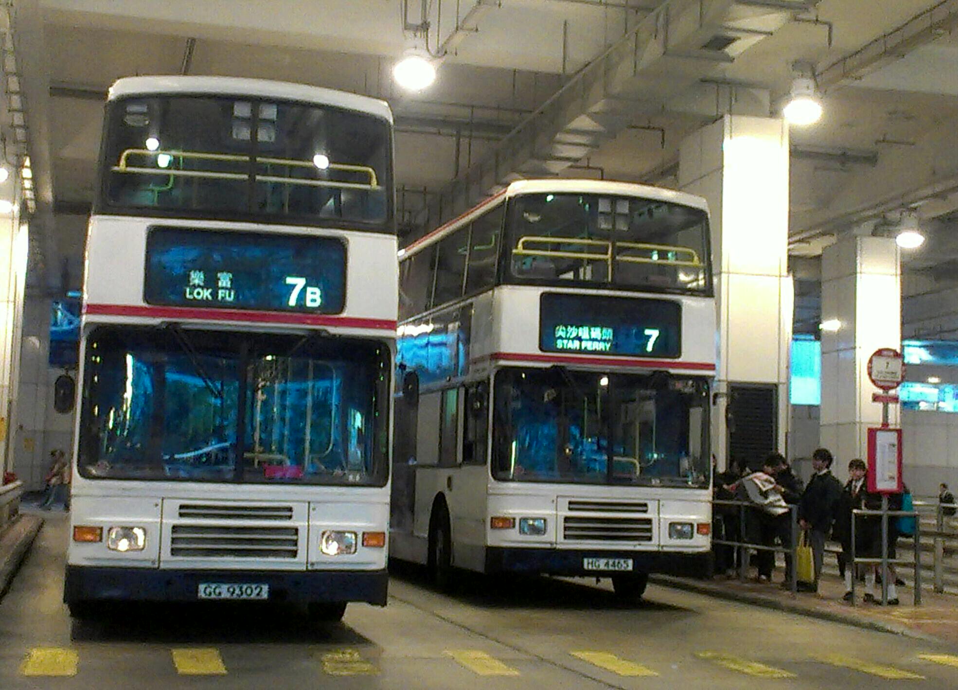 IMAG0242-1-1-1.jpg