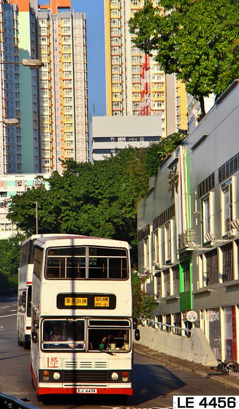 IMG_9644_副本.jpg