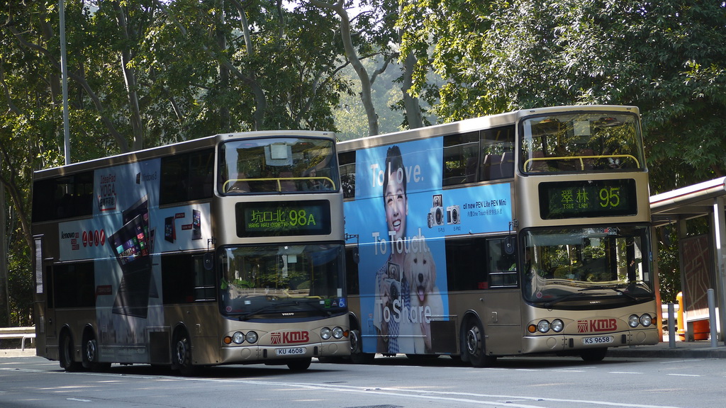 P1060196i.jpg