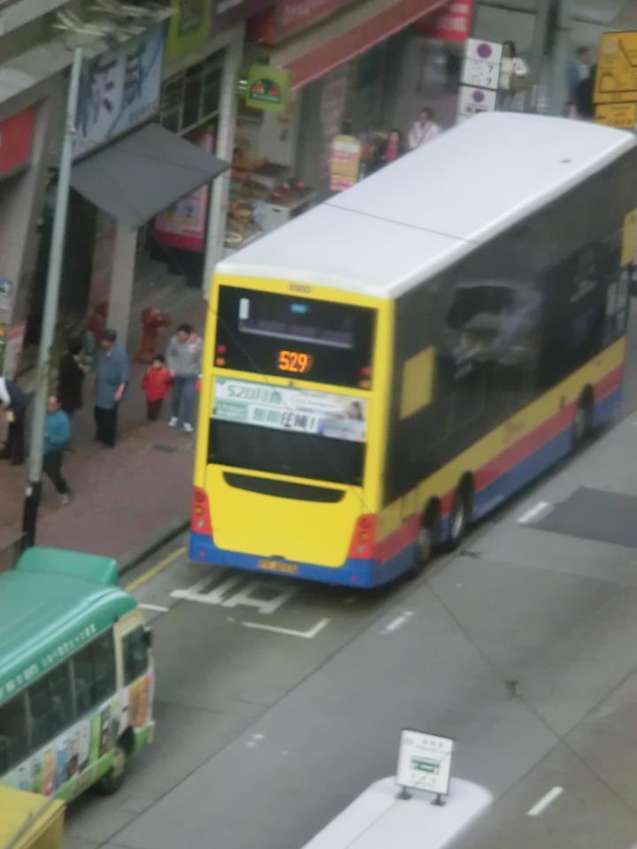 8900 529.jpg