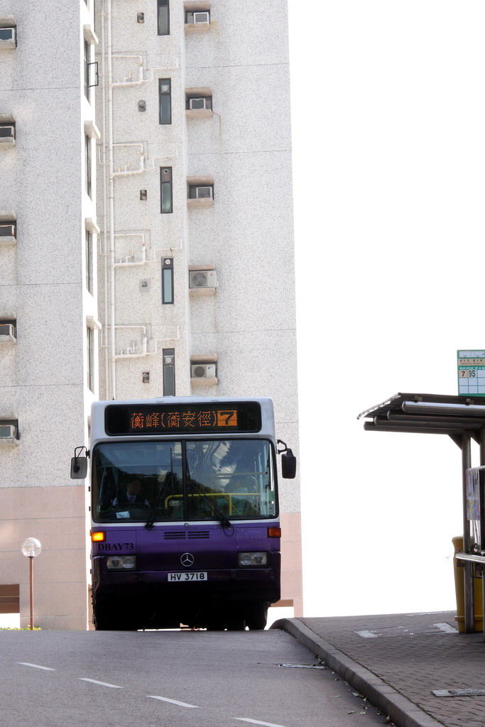 3718-1.jpg