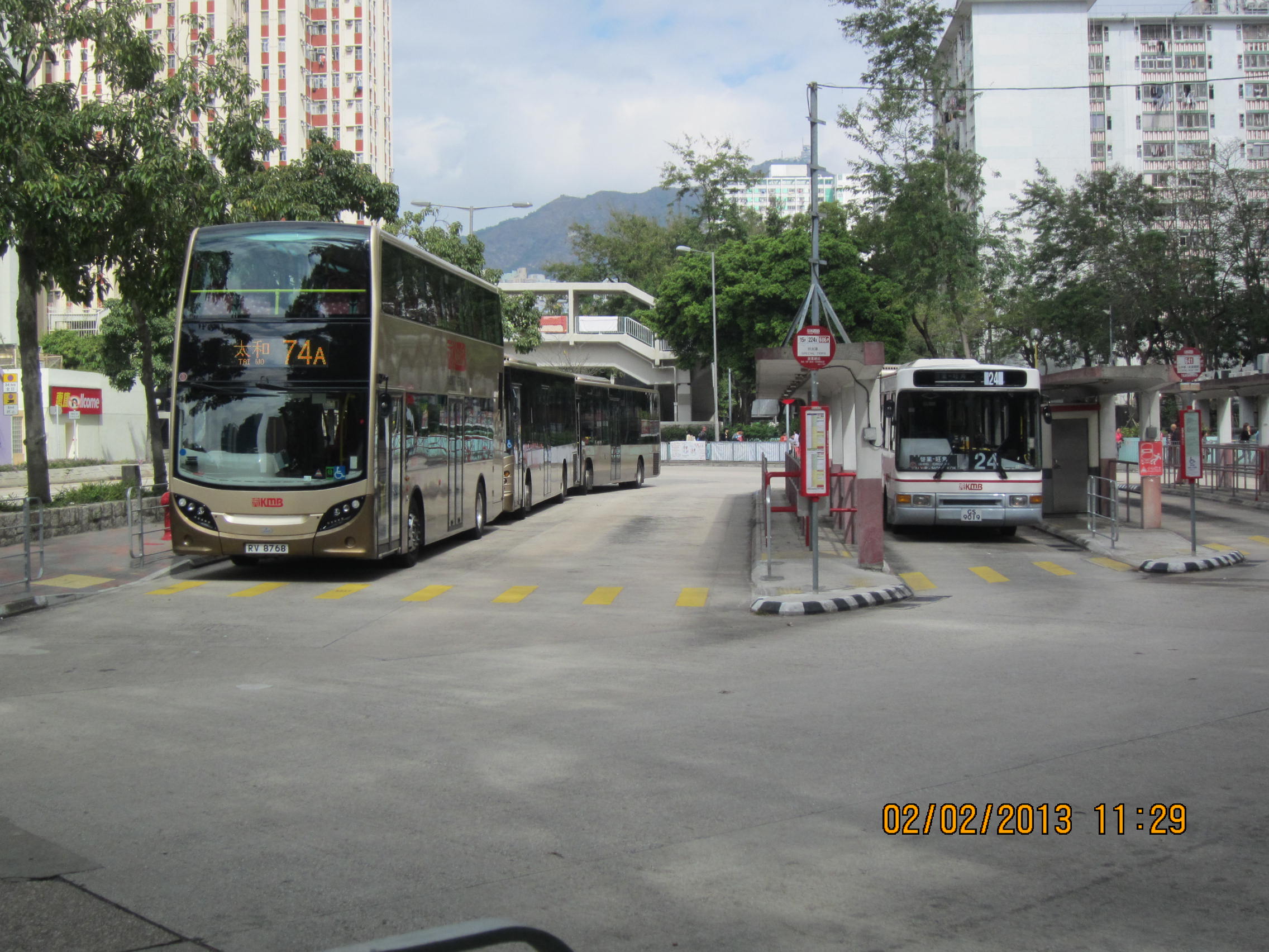 IMG_7664.JPG