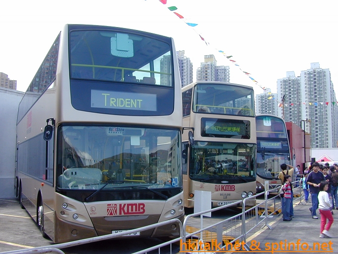 BCOY03a.JPG