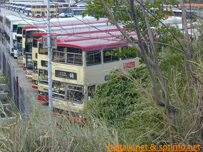 DSCN8200.JPG