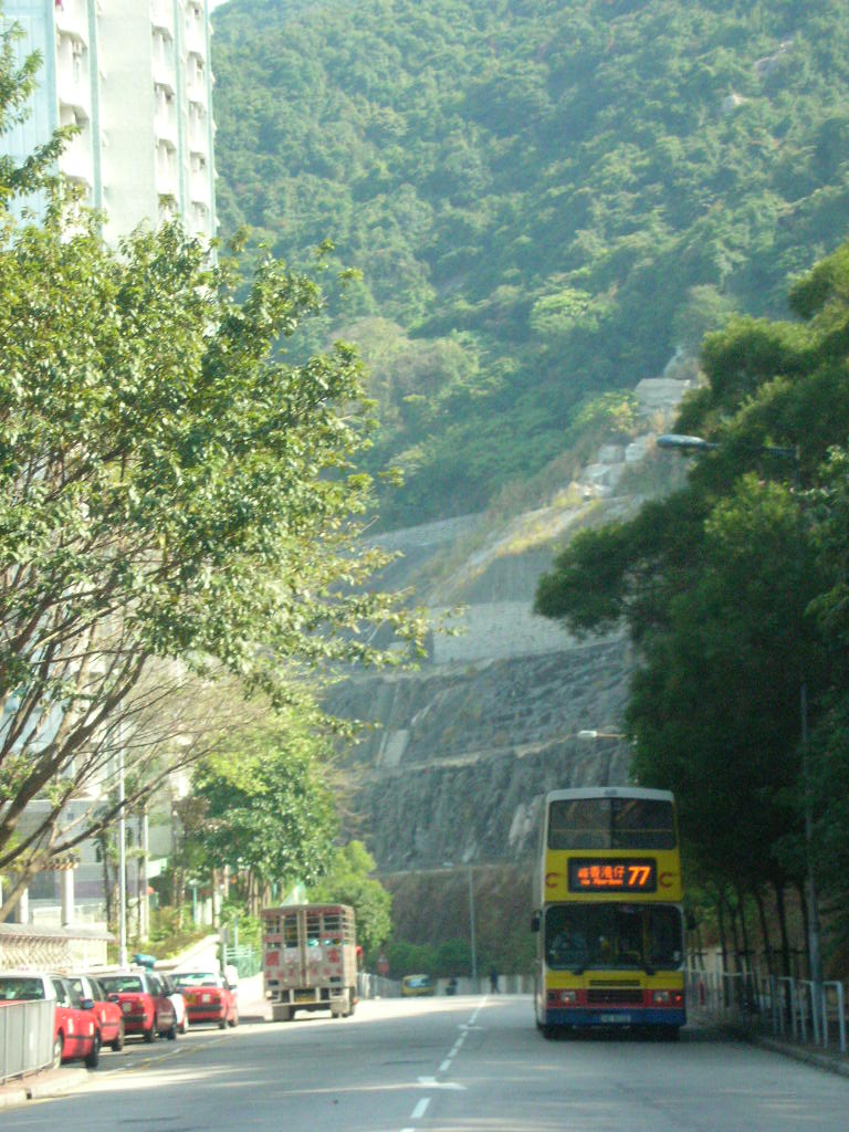 DSCN0457.JPG