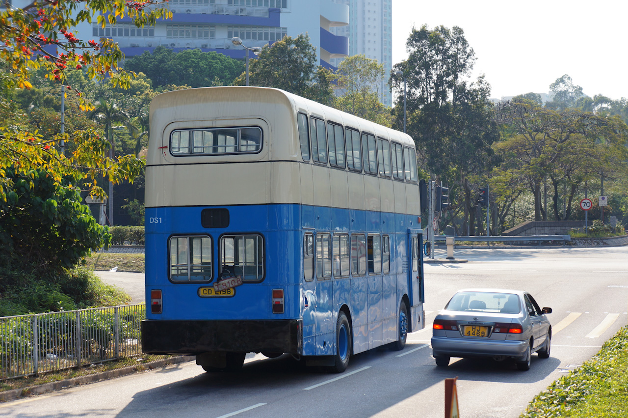 DSC08680.jpg