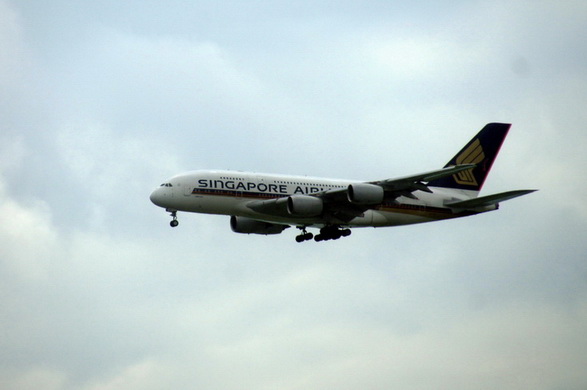 DSC07778a.JPG