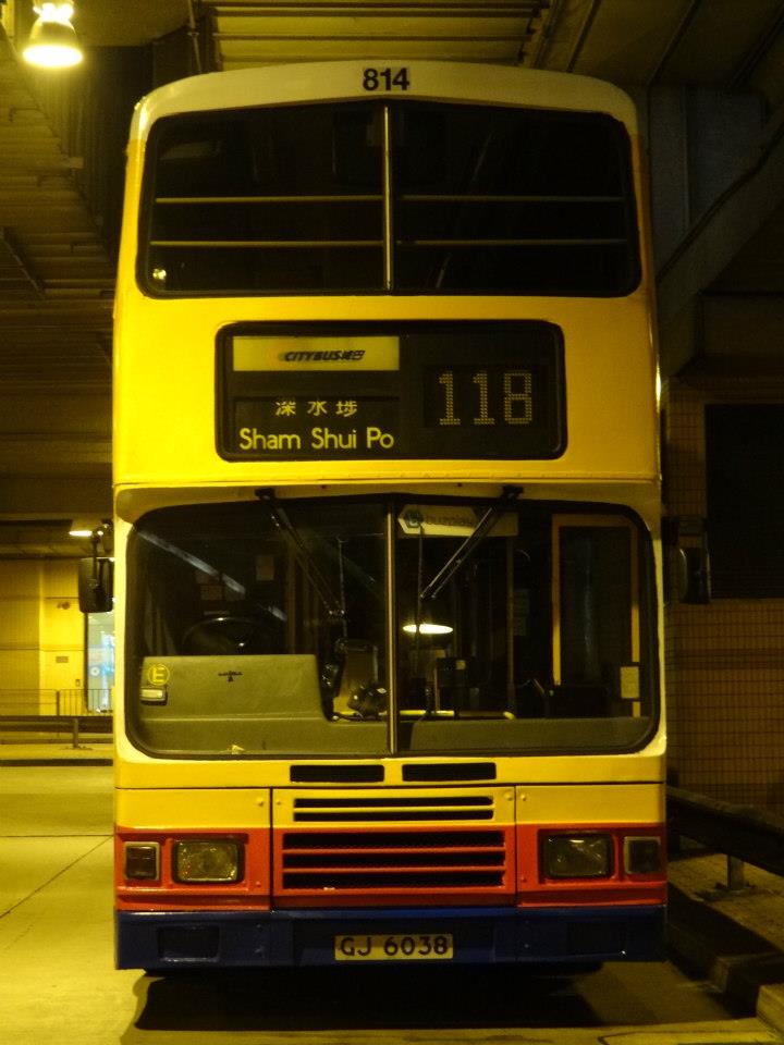 303917_505732172824047_108243286_n.jpg