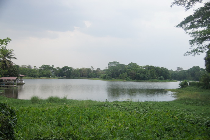 DSC01767.JPG