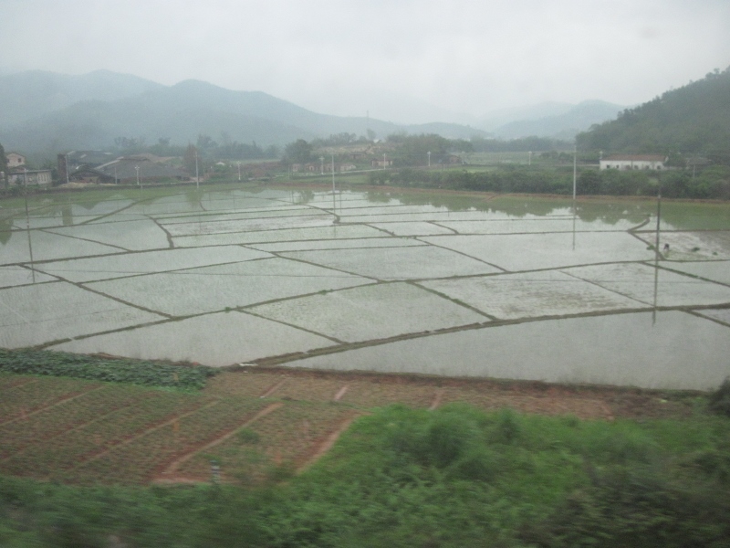 T2 - 三茂線沿線風景07.jpg