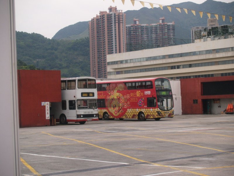 P1016489.jpg