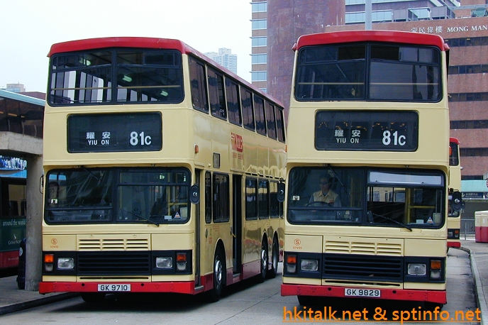 81C.JPG