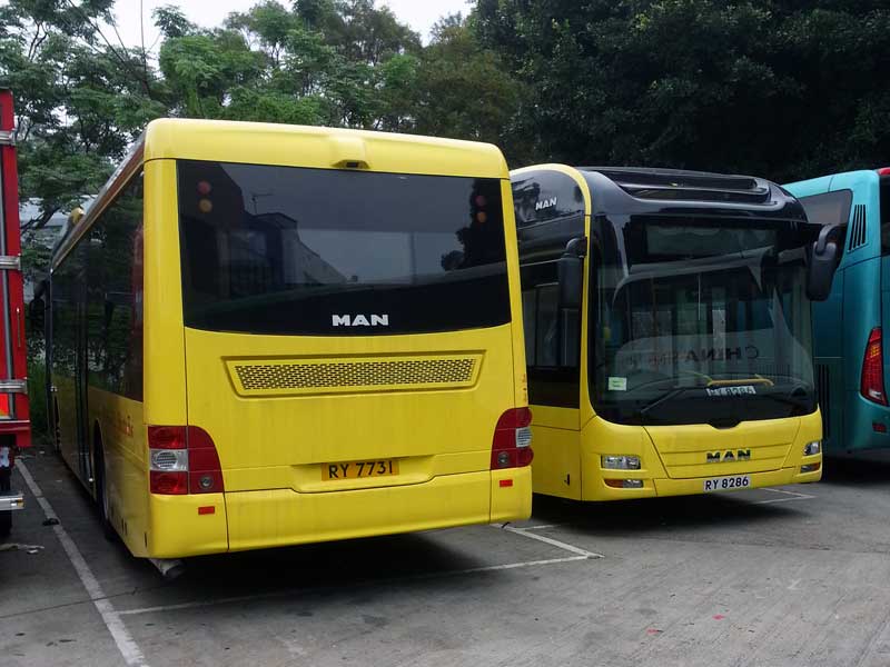 8286-7731.jpg