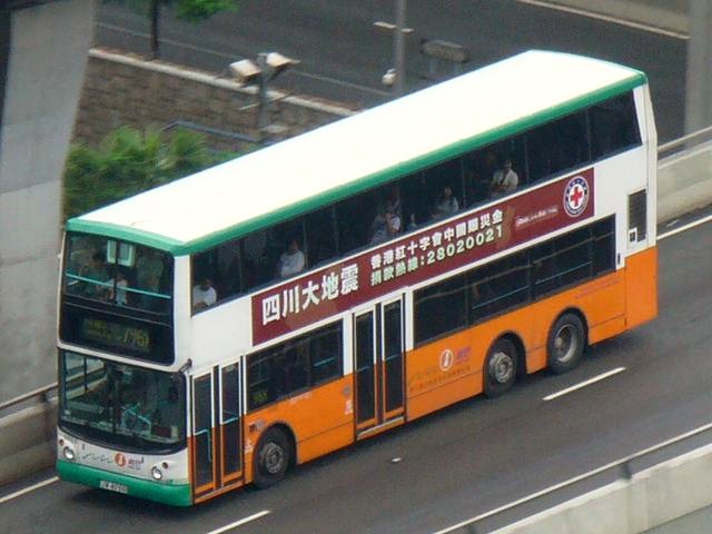 P.JPG
