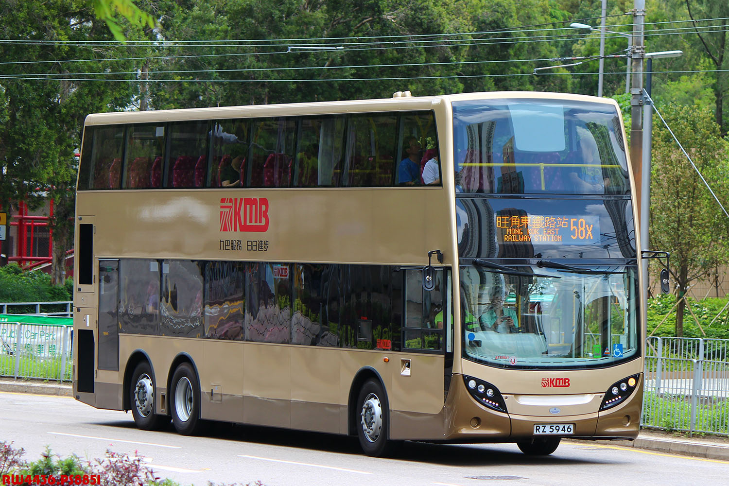 RZ5946@58X_LK.jpg