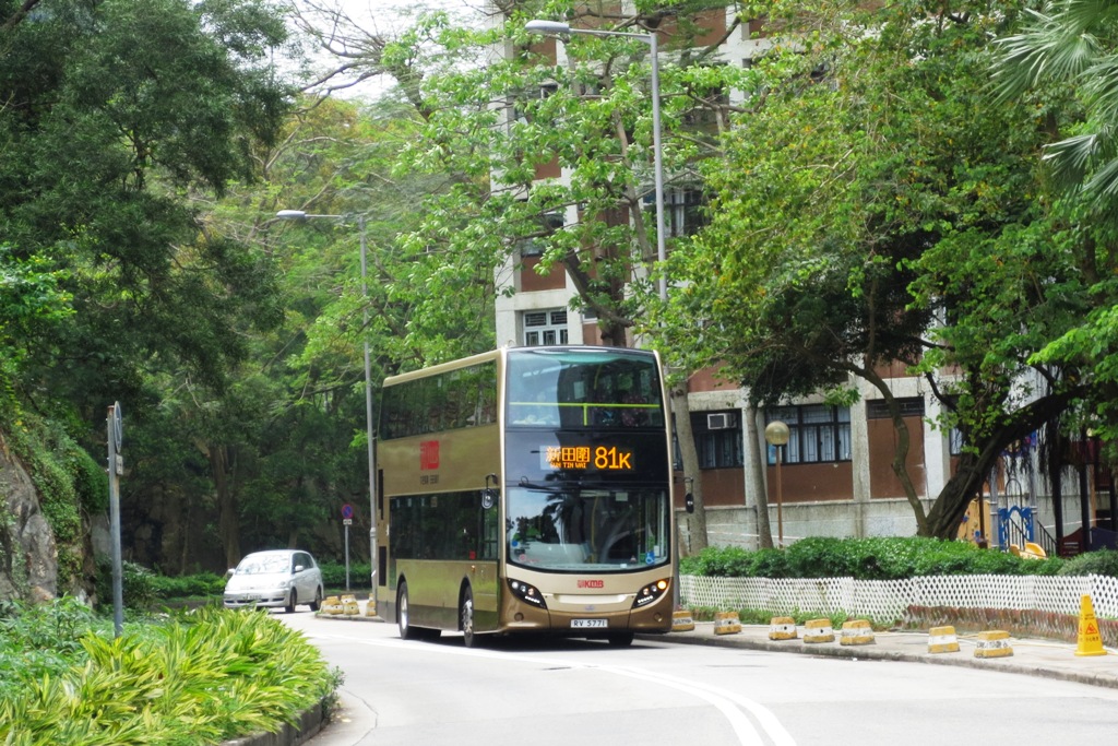 5771.JPG