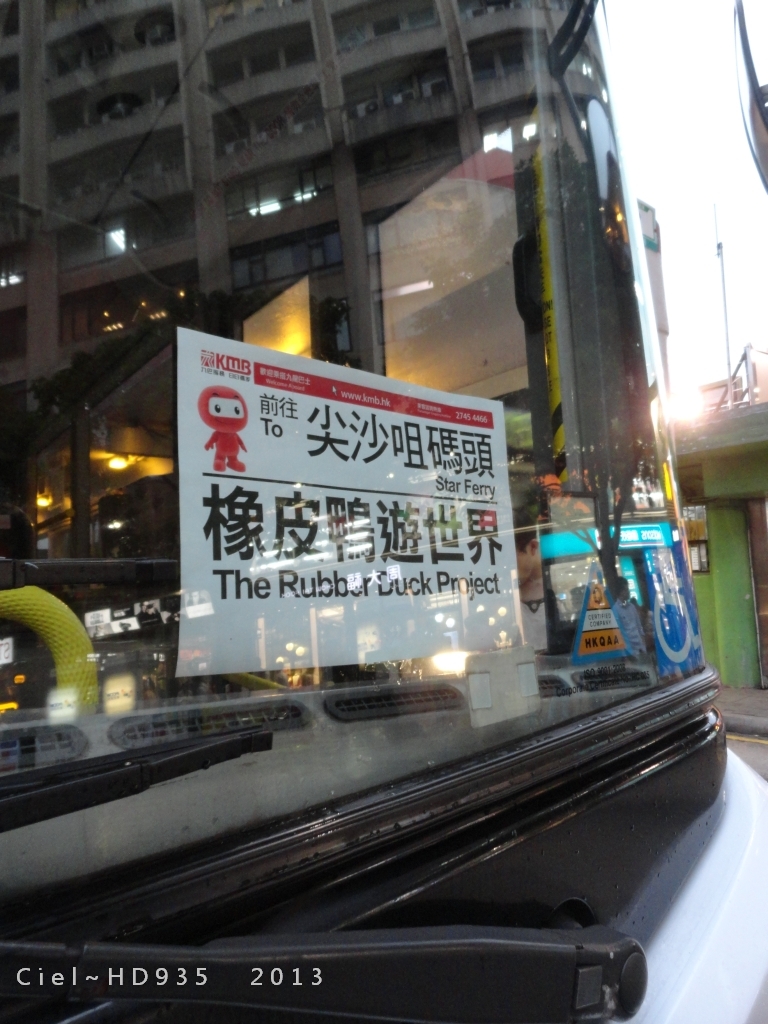 DSC08694.JPG