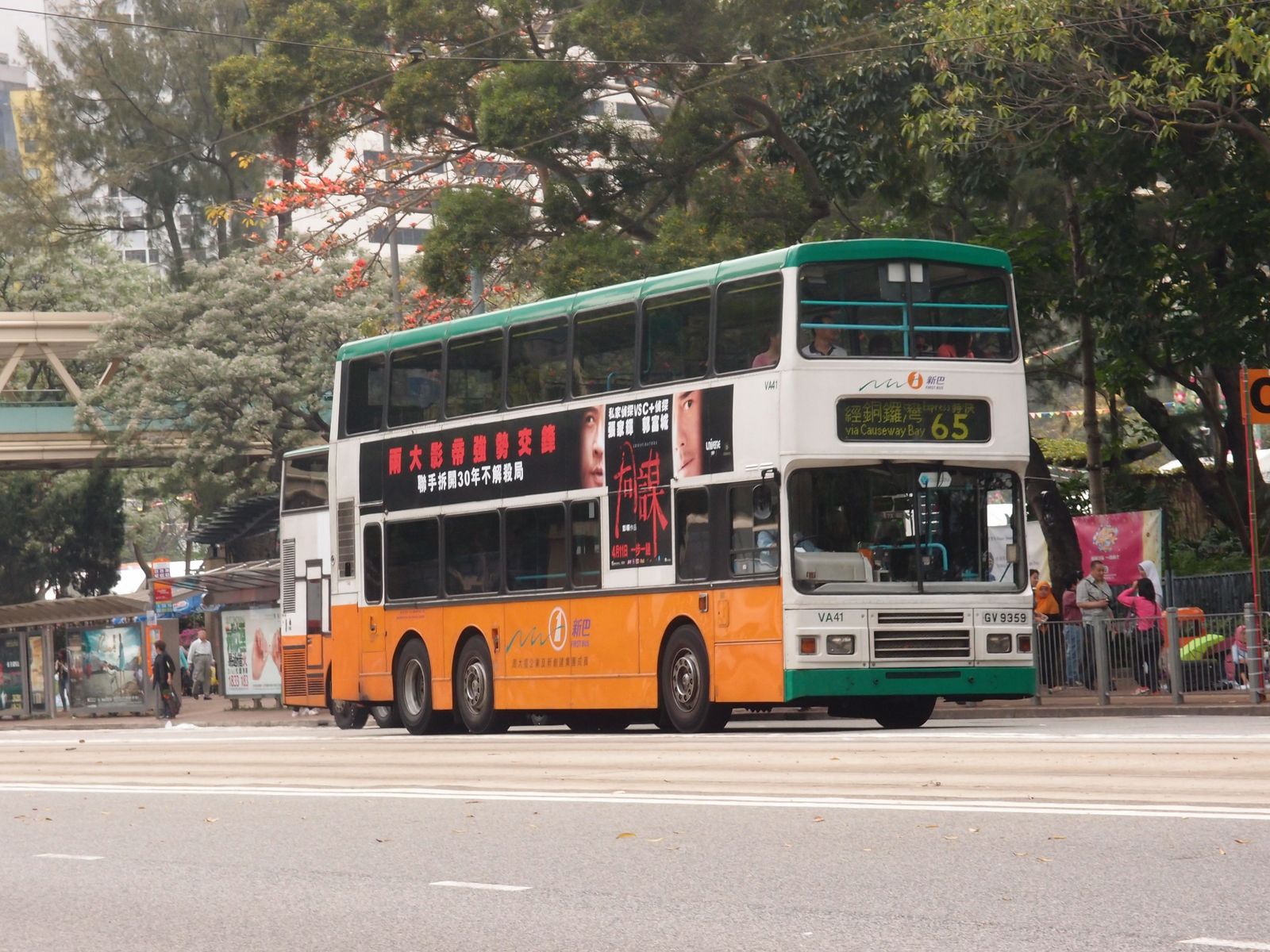 P3245905.jpg