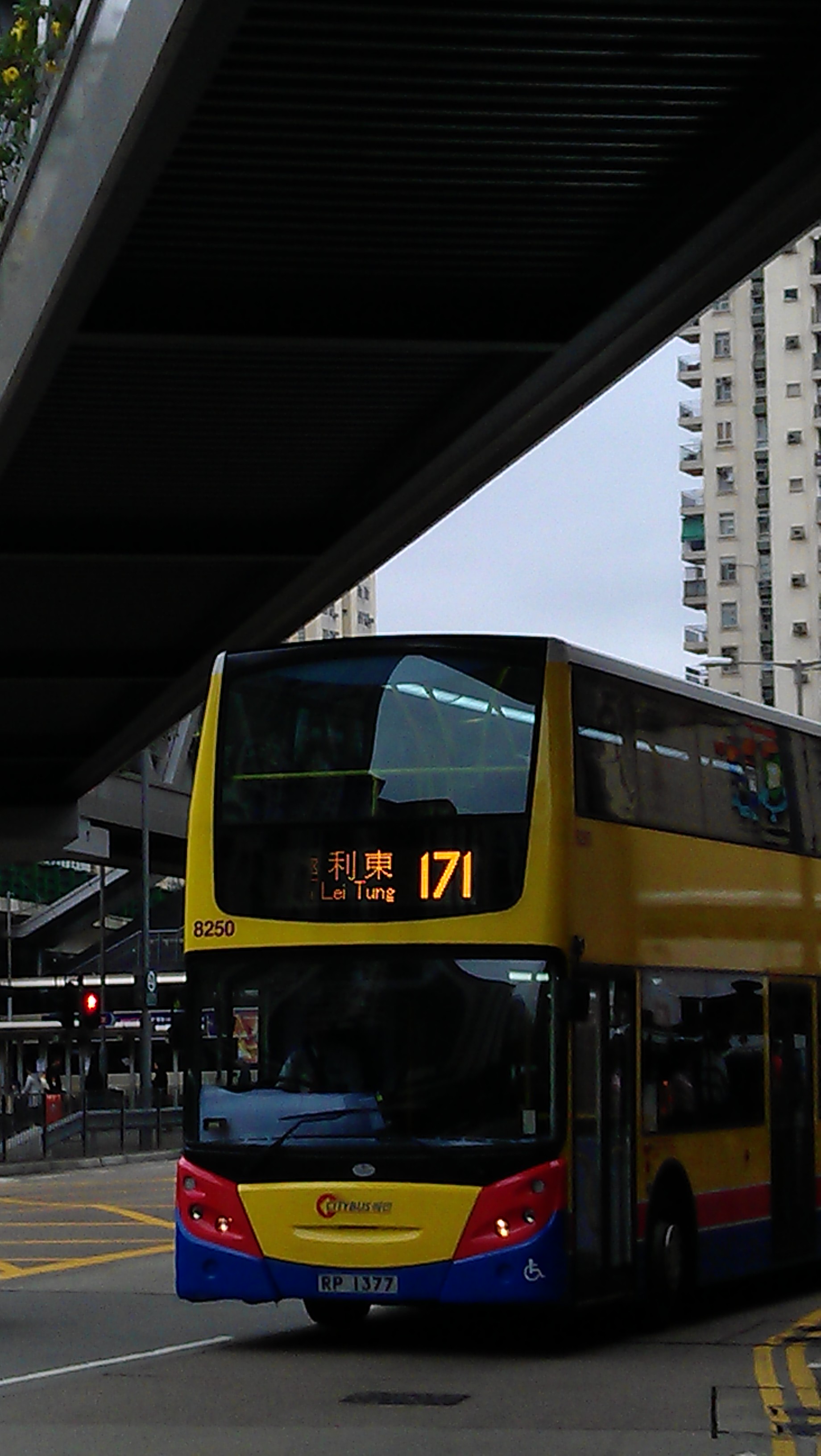 IMAG0484.jpg