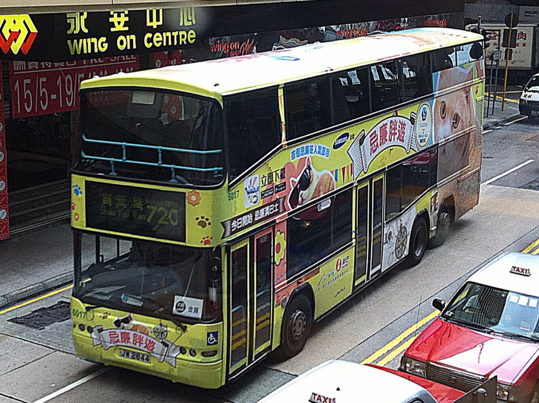 照片 (91).JPG