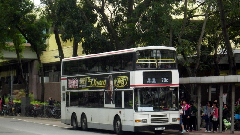 p8880639.jpg