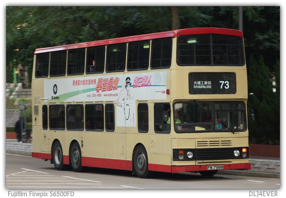 FW7968@73.jpg