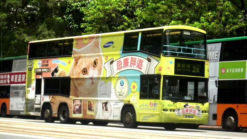 p8890142.jpg