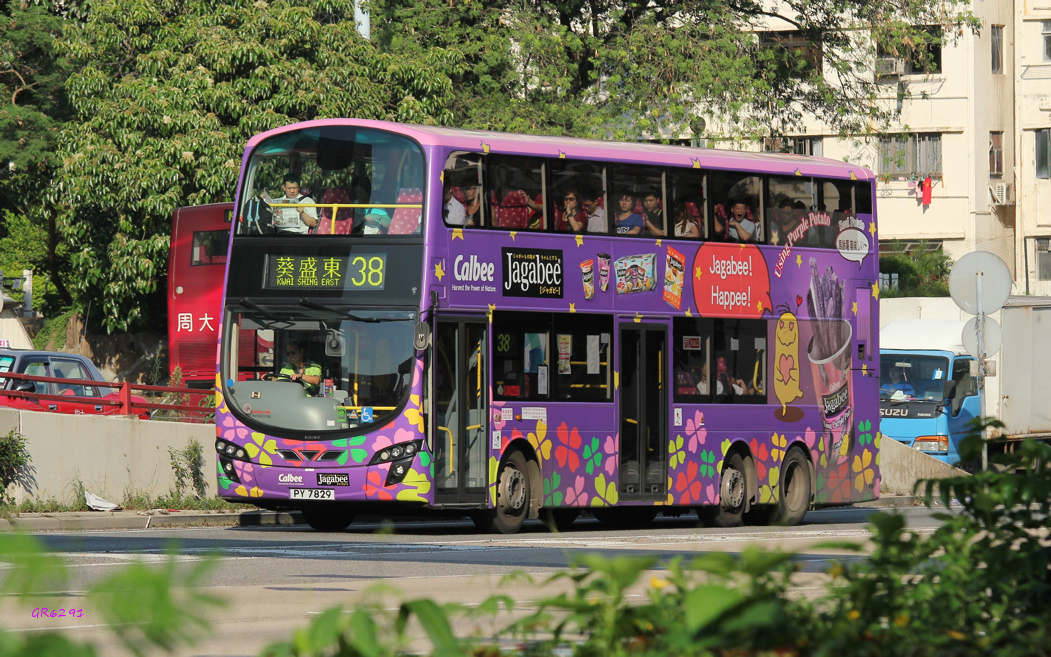7829.jpg