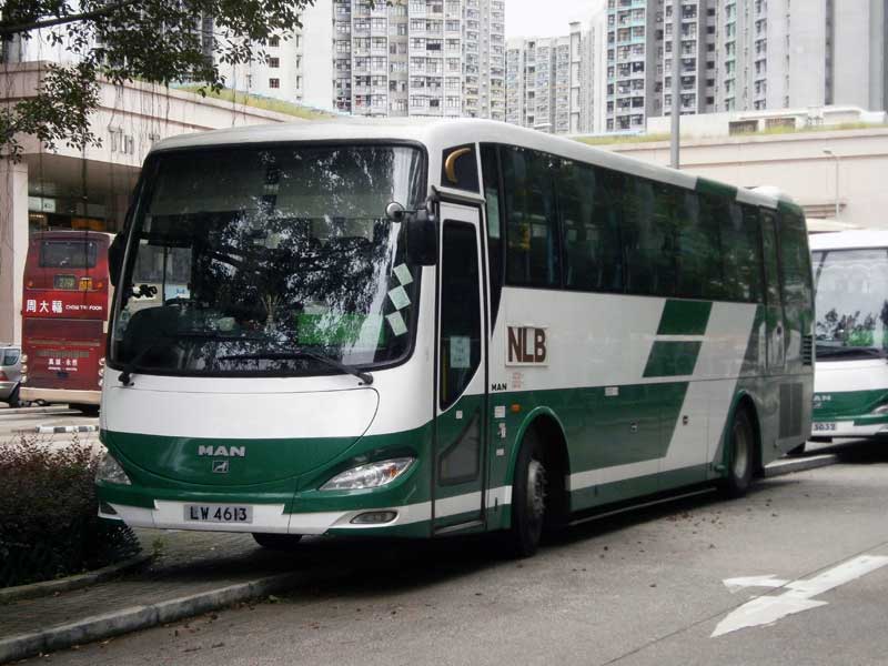4613.jpg