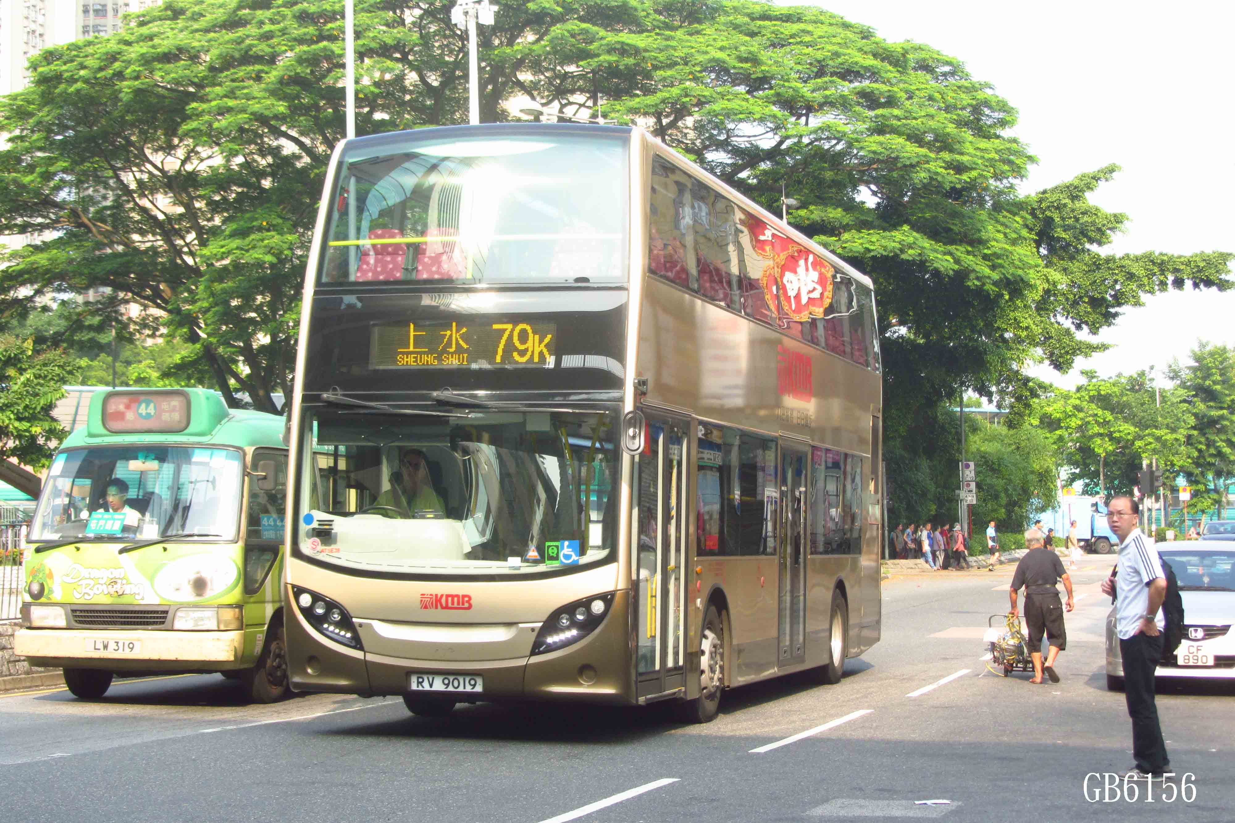 9019d.jpg