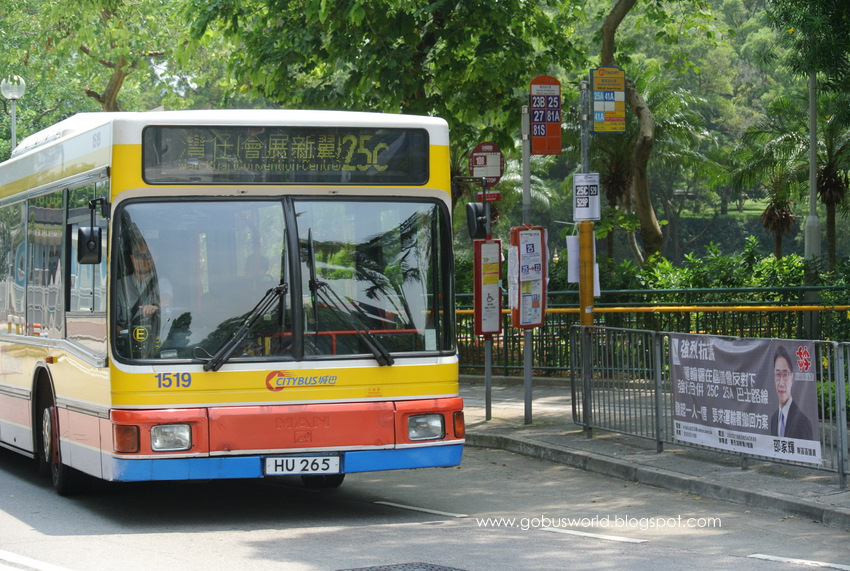 DSC_7831.JPG